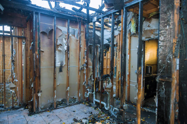 Professional Fire Damage Removal technician working in Solana, FL